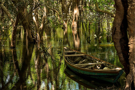 Floresta de Tapajós