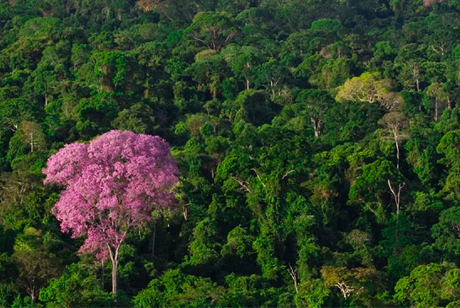 Parque Zoobotânico Vale