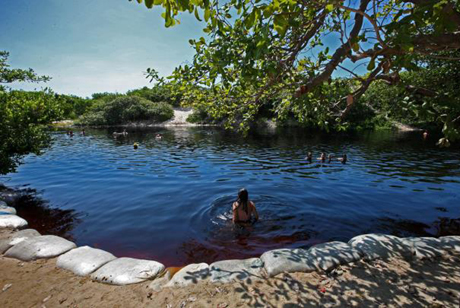 Lago da Princesa Amazonia Atlantica Natureza