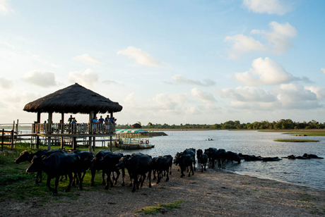 Hotel Fazenda...
