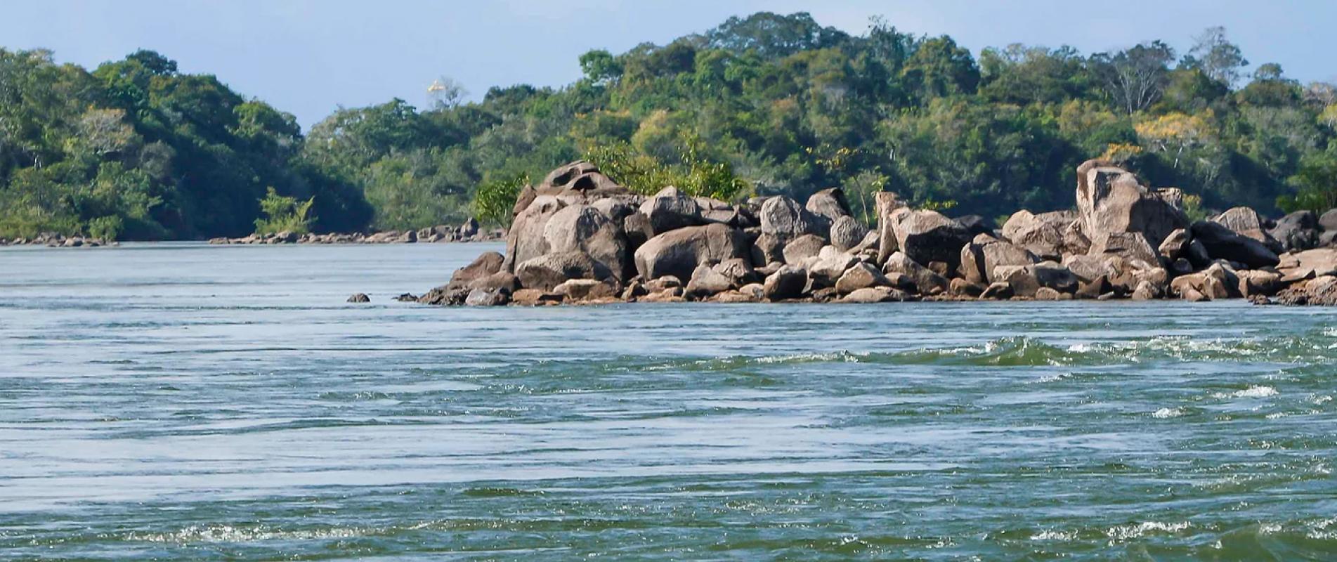 Xingu...