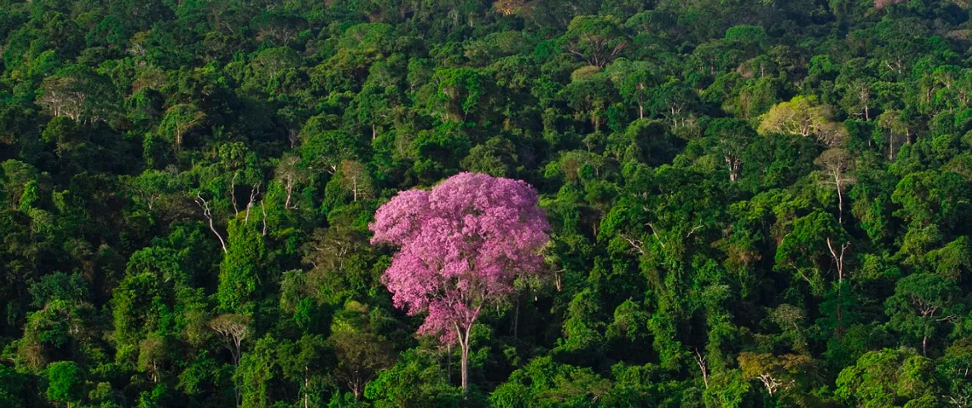 Parque Zoobotânico Vale 