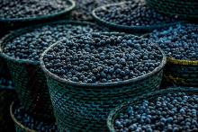 Açaí...