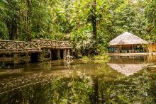 Bosque Rodrigues Alves...