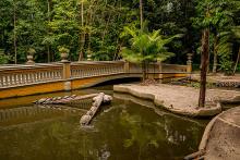 Bosque Rodrigues Alves...