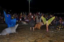 Carnaval de Cametá...