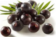 cultura açaí...