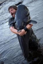 Reserva especial de pesca esportiva rio Azul/rio São Benedito...
