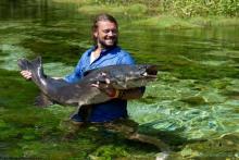 Reserva especial de pesca esportiva rio Azul/rio São Benedito...