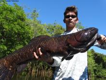 Reserva especial de pesca esportiva rio Azul/rio São Benedito...