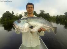 Reserva especial de pesca esportiva rio Azul/rio São Benedito...