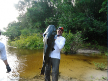 Reserva especial de pesca esportiva rio Azul/rio São Benedito...